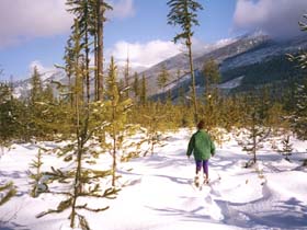 Wintersport_2